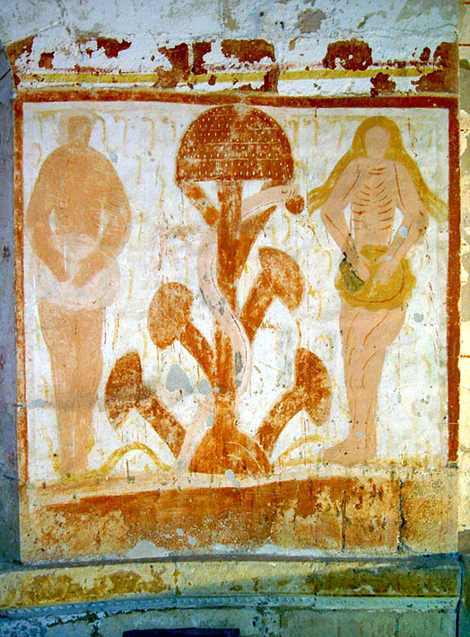 Fly Agaric Mushrooms Faith Seeking Understanding