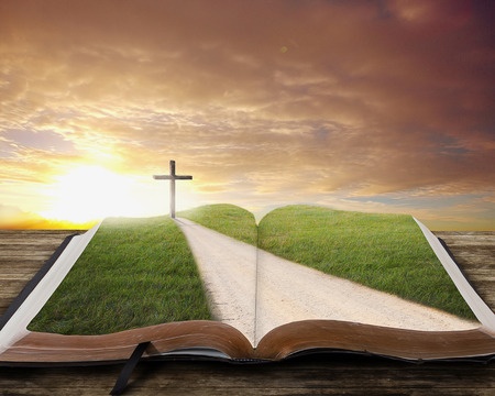 On the Road to True Repentance | Faith Seeking Understanding