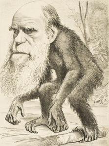Editorial cartoon of Darwin as an ape (1871)
